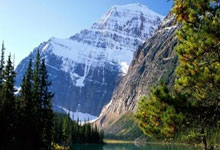 田径赛场传奇：肯尼亚选手打破世界纪录，速度与信念共鸣