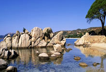 凯尔特人逆转篮网，豪取六连胜